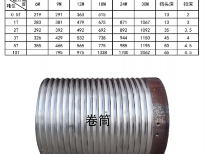 钢丝绳电动葫芦卷筒图2