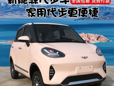 电动四轮车成人家用全封闭铁壳油电两用低速电瓶车
