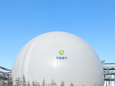 大白球双膜储气柜WD68图2