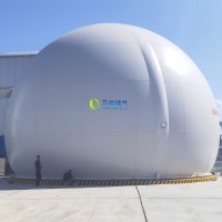 “大白球双膜气柜WD68S”