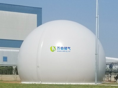 大白球双膜气柜WD68S图3