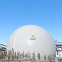 “大白球双膜气柜WD68”